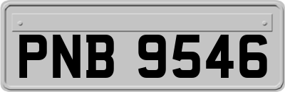 PNB9546
