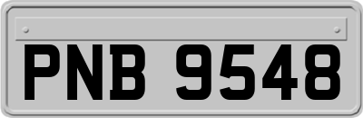 PNB9548