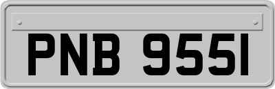 PNB9551