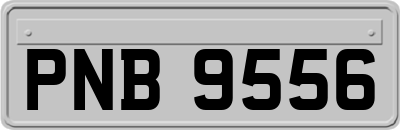 PNB9556