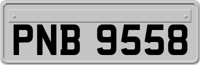 PNB9558