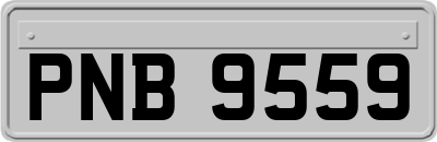 PNB9559