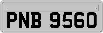 PNB9560