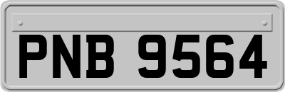 PNB9564