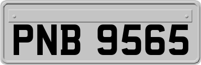 PNB9565