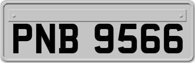 PNB9566
