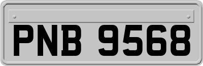 PNB9568