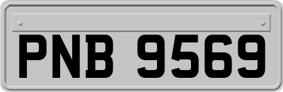PNB9569