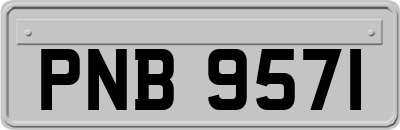 PNB9571