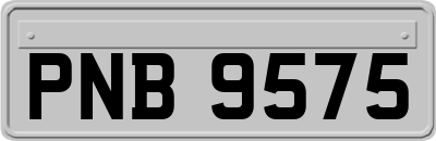 PNB9575
