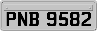 PNB9582