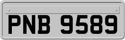 PNB9589