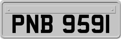 PNB9591