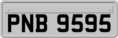 PNB9595