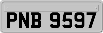 PNB9597