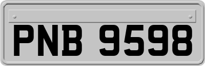 PNB9598