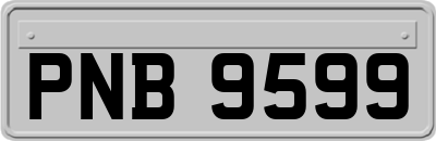 PNB9599