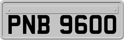 PNB9600