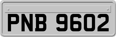 PNB9602