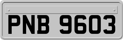 PNB9603