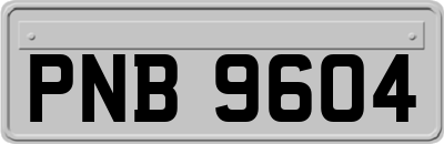 PNB9604