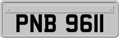 PNB9611