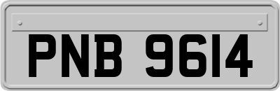 PNB9614