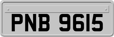 PNB9615