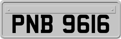PNB9616