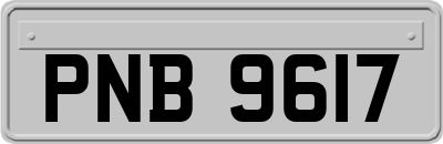 PNB9617