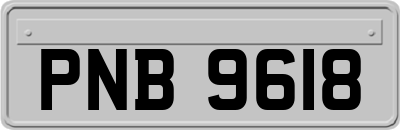 PNB9618