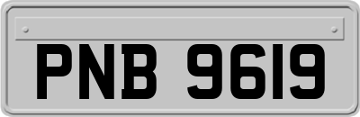 PNB9619
