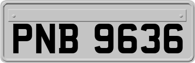 PNB9636