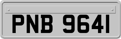 PNB9641
