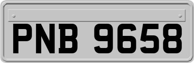 PNB9658
