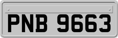 PNB9663