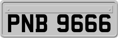 PNB9666