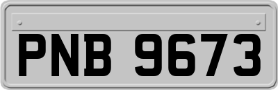 PNB9673
