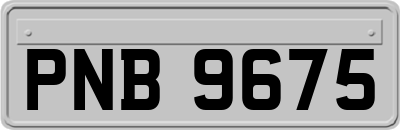 PNB9675