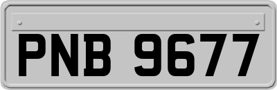 PNB9677