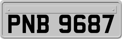PNB9687