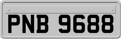 PNB9688