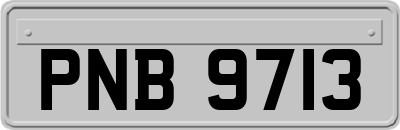PNB9713