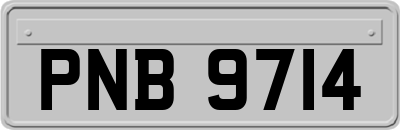 PNB9714