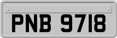 PNB9718