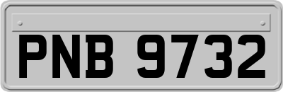 PNB9732