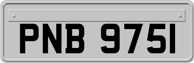 PNB9751