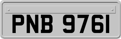 PNB9761