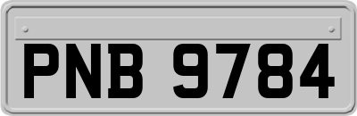 PNB9784