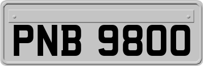 PNB9800